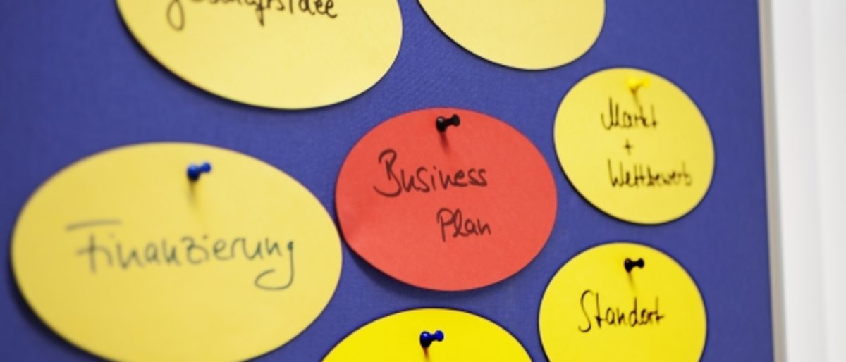 Businessplan, Finanzierung, Mindmap, Karteikarten, Pinnwand, Betriebswirtschaft, betriebswirtschaftliche Beratung, Beratung, Selbständigkeit, Gründung, Nachfolge, Betriebsgründung, Betriebsübernahme, Betriebsübergabe, Geschäftsidee, Unternehmer, Markt, Wettbewerb, Chancen