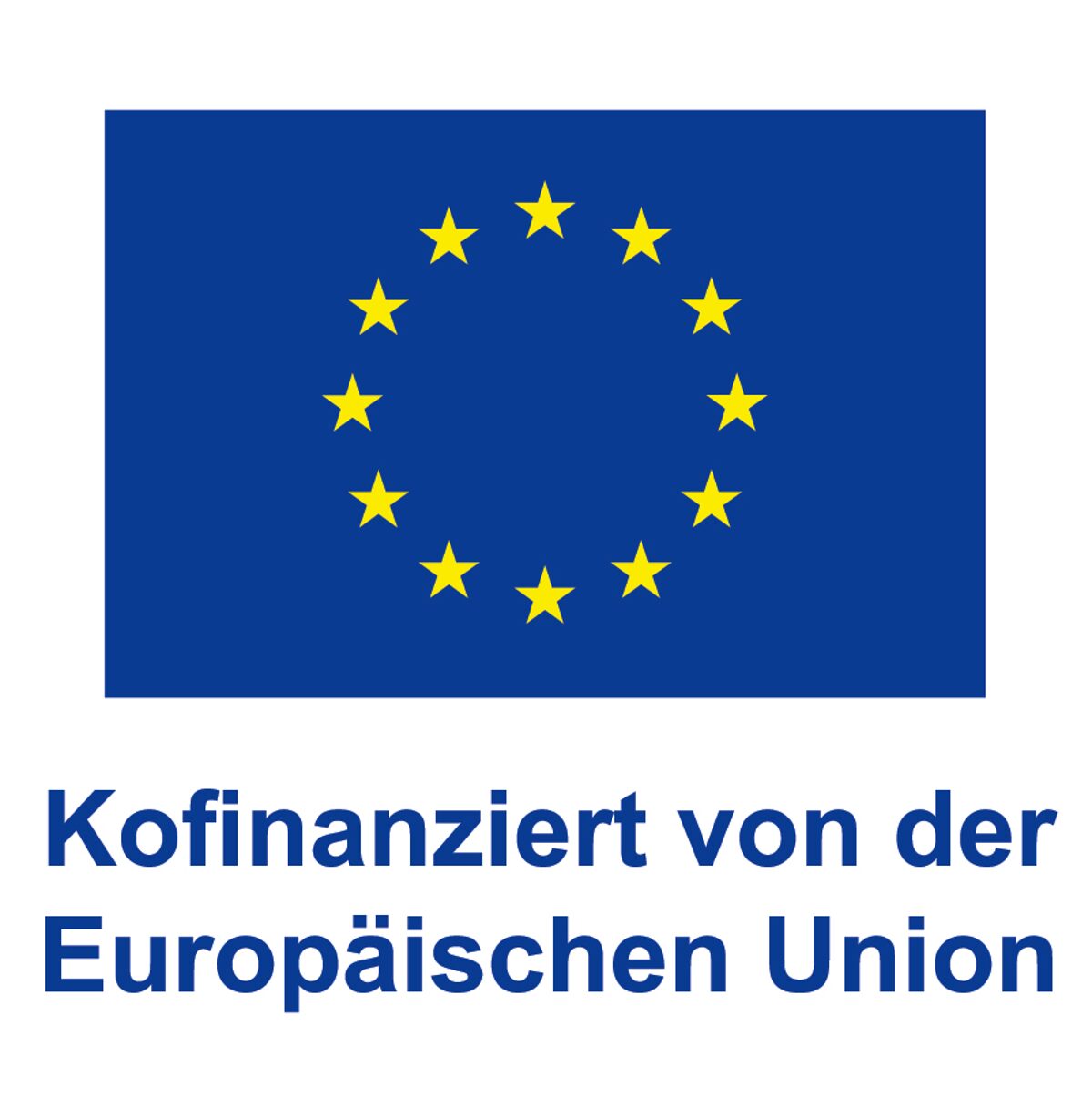 Kofinanziert_von_der_Europäischen_Union_POS