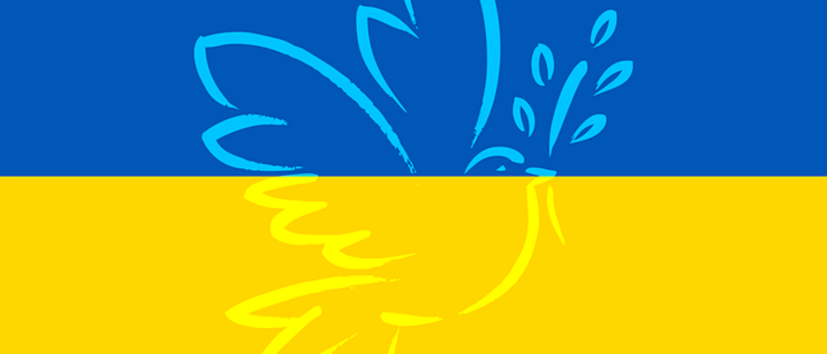 ukraine-Flaage